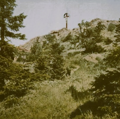 Bavarian Forest excercise